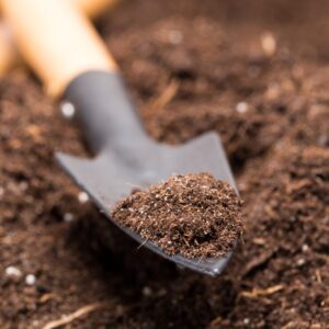 Enriched Vermicompost